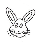 rabbit illustration